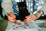 Black Cat on grandmas lap, puzzle, hands