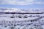Horses, Fences, snow fields, hills, mountains, north of Reno, Nevada