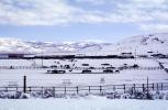 Horses, Fences, snow fields, hills, mountains, north of Reno, Nevada, AHSV02P02_15