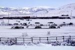 Horses, Fences, snow fields, hills, mountains, north of Reno, Nevada, AHSV02P02_15B