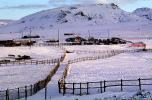 Horses, Fences, snow fields, hills, mountains, north of Reno, Nevada, AHSV02P02_16B