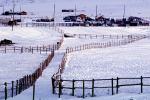 Horses, Fences, snow fields, hills, mountains, north of Reno, Nevada, AHSV02P02_17B