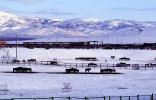 Horses, Fences, snow fields, hills, mountains, north of Reno, Nevada, AHSV02P02_18