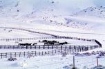 Horses, Fences, snow fields, hills, mountains, north of Reno, Nevada, AHSV02P03_01