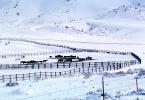 Horses, Fences, snow fields, hills, mountains, north of Reno, Nevada, AHSV02P03_02B