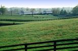Horses, Fields, fences, barn, buildings, Lexington, Kentucky, AHSV02P03_16