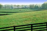 Horses, Lexington, Kentucky, AHSV02P03_17