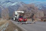 Horse crossing the road, Taos, cars, automobiles, vehicles