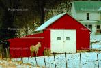 Horse, barn, outdoors, outside, exterior, rural, building, architecture, doors, Keokuk, Iowa, AHSV02P07_04.0934