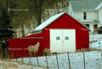 Horse, barn, outdoors, outside, exterior, rural, building, architecture, doors, Keokuk, Iowa, AHSV02P07_05.0934