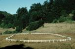 training field, track, fence