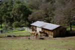 Stables, Horse, Hills, forest, trees, Saint Helena, Napa Valley, California, AHSV02P08_16