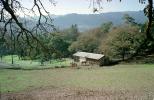 Stables, Horse, Hills, forest, trees, Saint Helena, Napa Valley, California, AHSV02P08_17