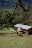 Stables, Horse, Hills, forest, trees, Saint Helena, Napa Valley, California