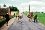 Horse, Road, Man, Woman, walking, Fairytale Tour, Denmark, August 1961, 1960s, AHSV02P10_09