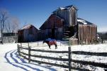 Barn, Wooden Fence, Horse, Cold, Winter, Daytime, 1995, AHSV02P10_19
