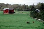 Barn, Horse, field, forest, trees, Ohio, 1995, AHSV02P11_02