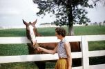 woman feeding horse, fence, Kentucky, 1960s