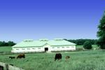 Big Barn, Horse, Eaton Farm, Lexington, Kentucky, 1983, 1980s