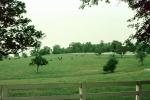Eaton Farm, Lexington, Kentucky, AHSV02P11_19