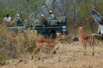 Ecotourism, Eco-Tourism, Eco Tourism, antelope, truck, people, game reserve, AMAD01_032