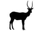 Antelope silhouette, logo, AMAV02P08_02.4100M