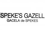 Speke's Gazell, (Gazella spekei)