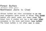 African Forest Buffalo, (Syncerus caffer nanus), Cetartiodactyla, Bovidae, Bovinae, central and western Africa, AMAV03P05_07
