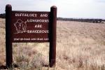 Buffaloes and Longhorns are Dangerous, Wichita Mountains Wildlife Refuge, AMAV03P14_03