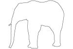 Elephant outline, line drawing, baby, shape, AMEV01P01_19O