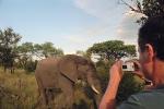 African Elephants, ecotourism, eco-tourism, eco tourism, Photographer, Camera, AMEV01P08_06.0492