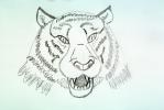Tiger, AMFV01P10_12