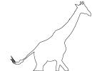 Giraffe Outline, line drawing, shape