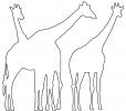 Outline of Giraffes, line drawing, shape