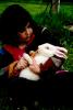 Girl Feeds Carrot to a Rabbit, Occidental, Sonoma County