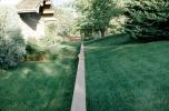 Lawn, Path, Rabbit, vanishing point, AMHV01P04_03