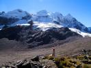 Llama, (Lama glama), Nevado Ausangate Mountain, Andes Mountain Range, Photo by Nathan Heald, AMLD01_001