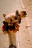 Dromedary Camel, (Camelus dromedarius), Camelini, Cairo, Egypt, AMLV01P01_01.4100