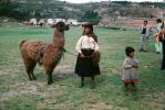 Llama, (Lama glama), Woman, Child, AMLV01P10_02