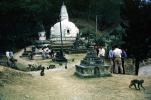 Monkeys at a Buddhist Shrine, Stupa, Sacred Place, temple, building