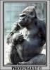 Ape, Gorilla, AMPV01P03_17