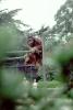 Orangutan, AMPV01P08_19