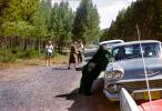 Feeding a Bear, Chevy, Tourists, People, 1958