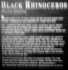 Black Rhinoceros, AMYV01P04_06