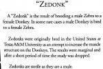 Zedonk, AMZV01P05_19