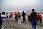 Blue Whale washed up on Ocean Beach, San Francisco, Ocean-Beach, AOCV01P07_04