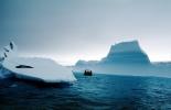 Icebergs, Weddell Seal (Leptonychotes weddellii), AOSV01P03_03