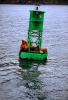 Seals basking on a Navigation Buoy, AOSV01P05_19