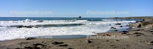 Elephant Seals, San Simeon, California, Beach, Sand, AOSV02P04_02