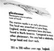 Plesiosaur, Pesiosaurus macrocephalus, 200 million years ago, APAV01P02_02